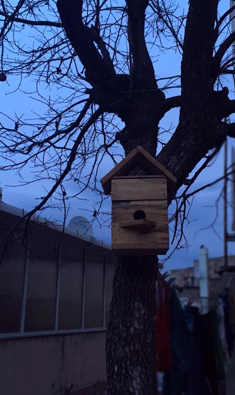 Birdhouse Rooms Tbilisi Exterior photo