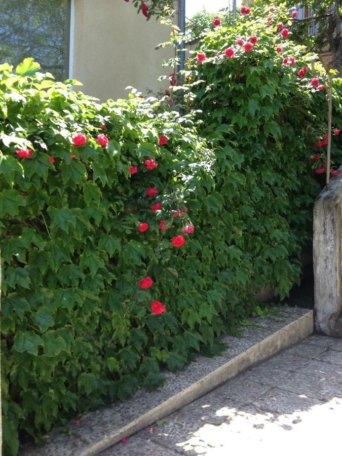 Birdhouse Rooms Tbilisi Exterior photo